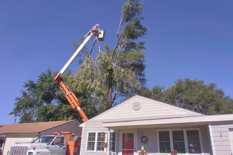 Mailes Tree Service bucket truck taking down a tree over a house